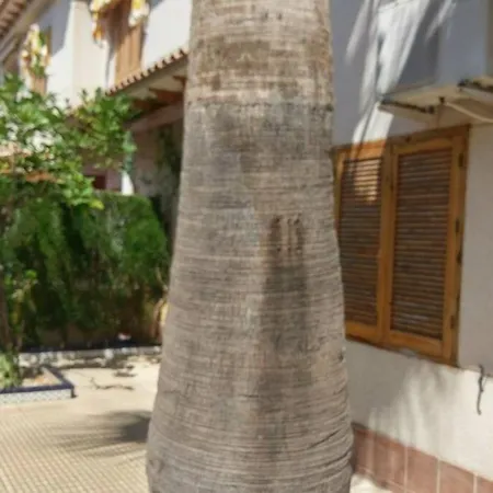 La Casa De La Palmera