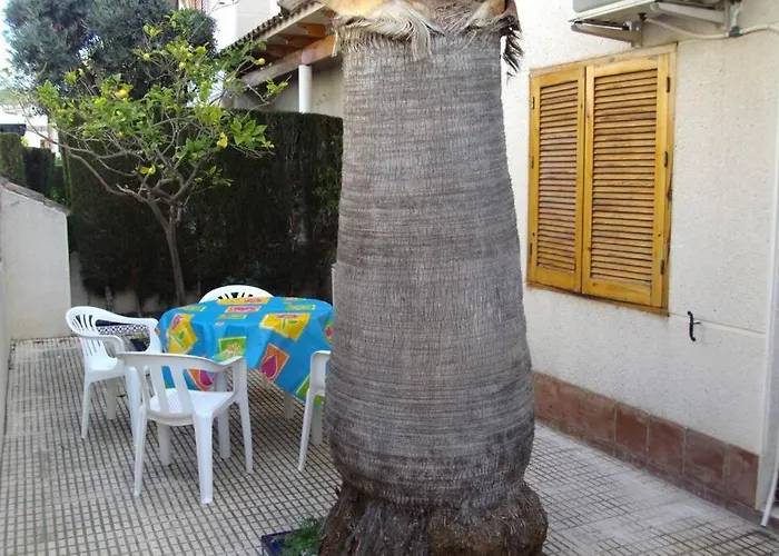 La Casa De La Palmera Apartment Torrevieja