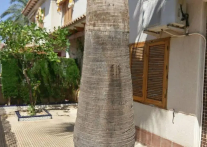 La Casa De La Palmera