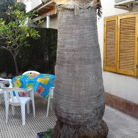 La Casa De La Palmera Daire Torrevieja
